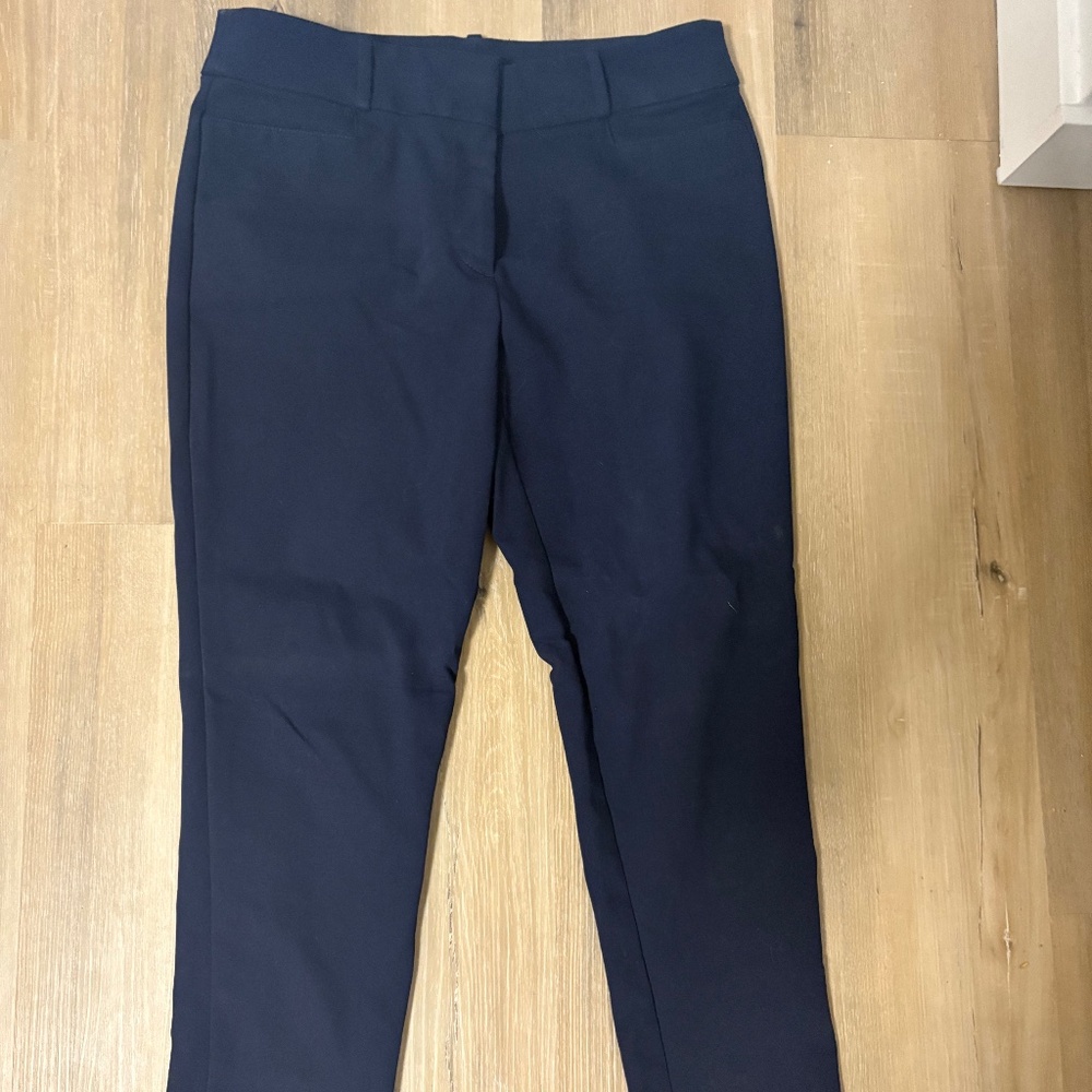 LOFT Women’s Blue Pants